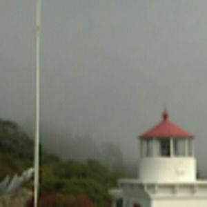 Meet your Posher, Robyn